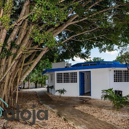 Villa Xtohil With Private Access To The Magic 7 Colors Lagoon Bacalar Exteriör bild