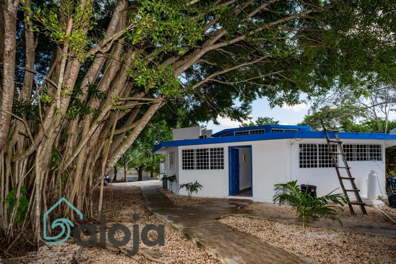 Villa Xtohil With Private Access To The Magic 7 Colors Lagoon Bacalar Exteriör bild
