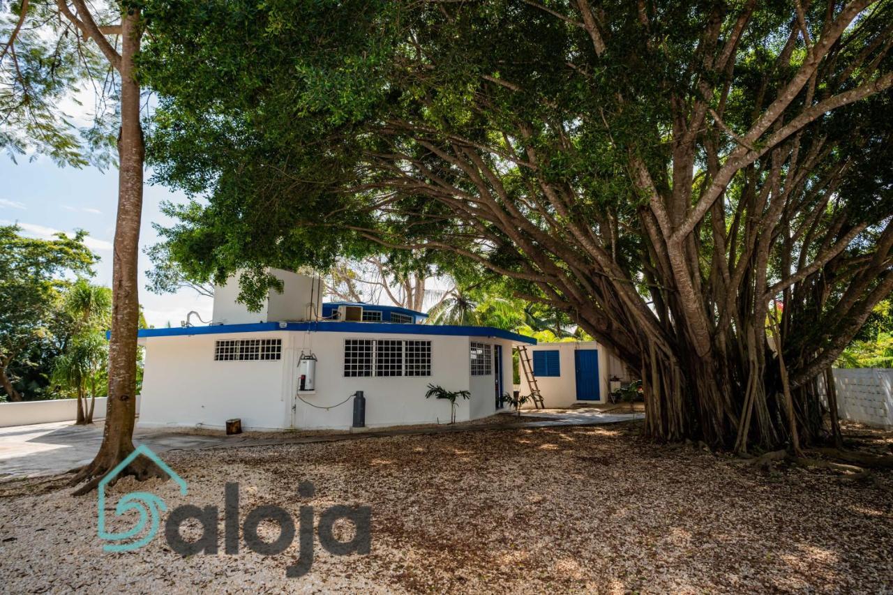 Villa Xtohil With Private Access To The Magic 7 Colors Lagoon Bacalar Exteriör bild