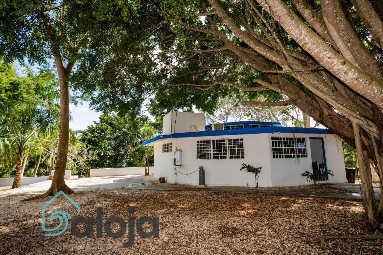 Villa Xtohil With Private Access To The Magic 7 Colors Lagoon Bacalar Exteriör bild